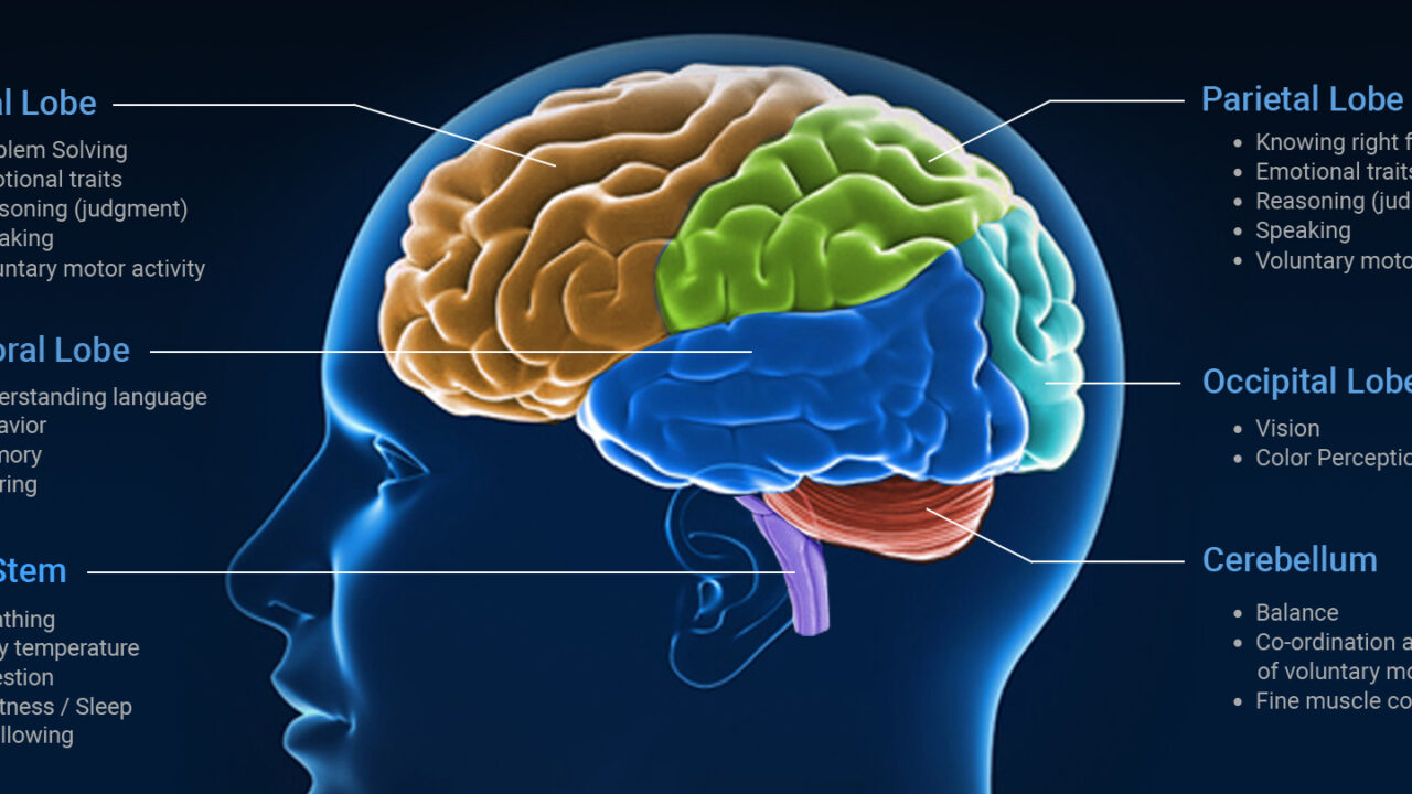 Understanding Traumatic Brain Injuries