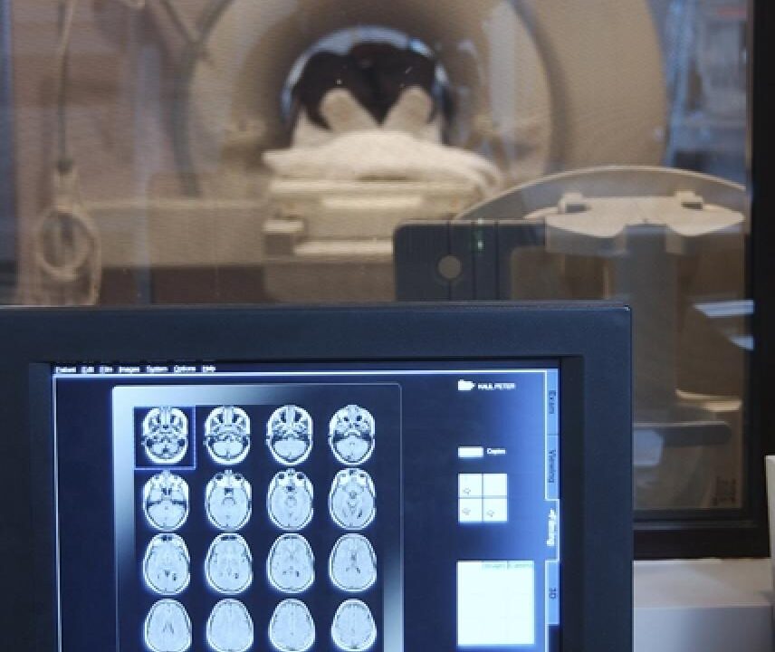 Neurological Testing for Brain Injury Diagnosis