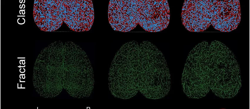 How to Document and Preserve Evidence in TBI Cases-image