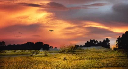 The Long Road to Recovery: A Guide for Families