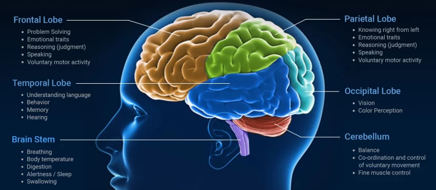 Understanding Traumatic Brain Injuries-image