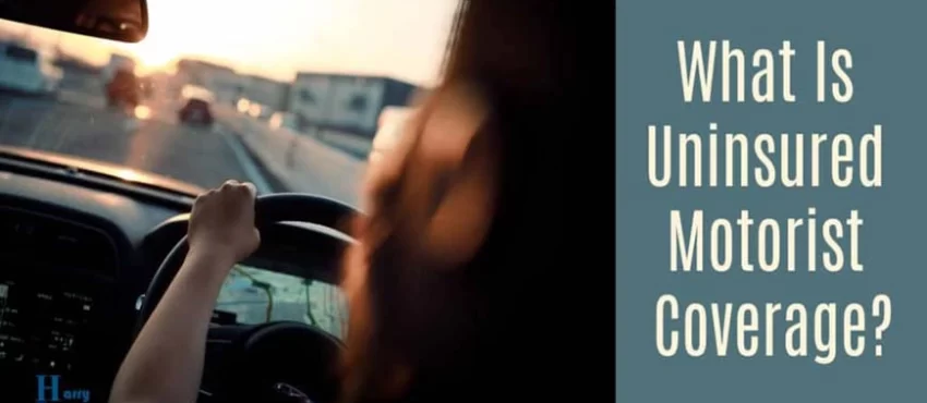 Uninsured Motorist Coverage Explained-image